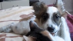 It's love. Это любовь