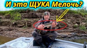 Маленькая или большая? Эта щука поставила меня в тупик!