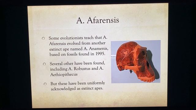 Biology 14.2 part 3  Hominid Fossils: Evidence against Evolution