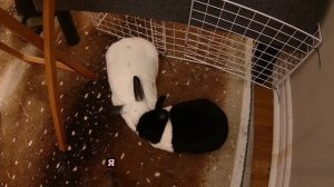 Измена жены. Словил за руку с любовником. Жена Изменяла мне в жесткой форме - Драмы Судьбы - Измена