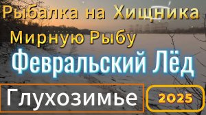 ФЕВРАЛЬСКИЙ ЛЁД ОКРЕП- ВЫХОД СТАЛ БЕЗОПАСНЫМ- РЫБАЛКА НА ХИЩНИКА БАЛАНСИРЫ МОРМЫШКИ НА МИРНУЮ РЫБУ.