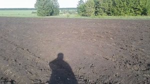 Результат работы дискатора. Целина.