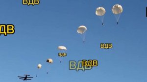 Армейские песни - одуванчики