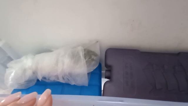 Є ідея 🍒ВАРЮ мохіто з черешні. Що буду закривати на зиму?🍿ЩО подивитися? Три цікаві стрічки
