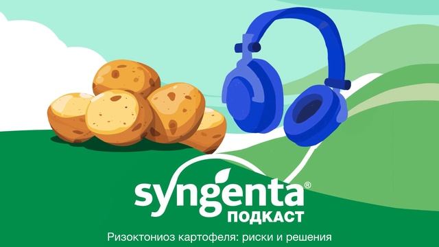 🥔 Ризоктониоз картофеля: риски и решения
