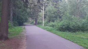 Парк Кирова - прогулка.