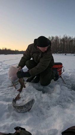 Горная рыбалка на Ленка