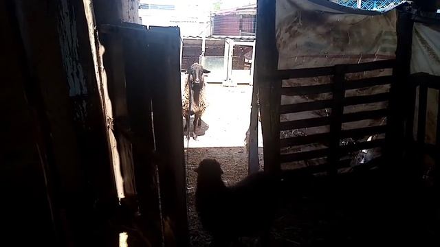 С праздником!!! Видео выходного дня. смотреть онлайн