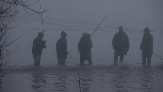 Výlov rybníka Bohdaneč смотреть онлайн