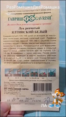февраль. уДача-дача. ЛУК НА ПОСАДКУ НА 2025#shorts