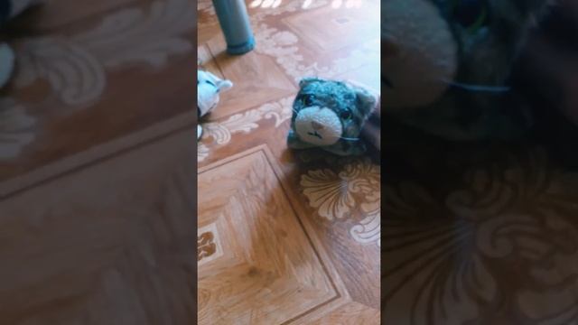 Зе кет коллекшн•Восстание собак•2 серия смотреть онлайн