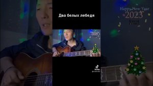 Два белых Лебедя (Рок-Острова)кавер