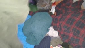 Что можно найти на мусорках Санкт-Петербурга? Находки на мусорке!