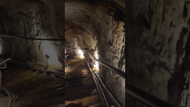 LA Jolla Cove смотреть онлайн