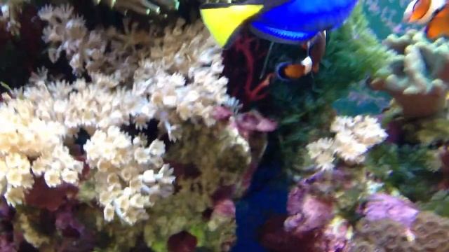 море дома смотреть онлайн