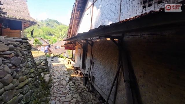 Kembali ke Baduy | Desa penuh misteri dengan adat yang dijunjung tinggi#desa #kanekes #jelajahbante смотреть онлайн