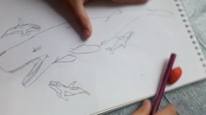 Как нарисовать КАШАЛОТА ЛЕВИАФАНА МЕЛВИЛА