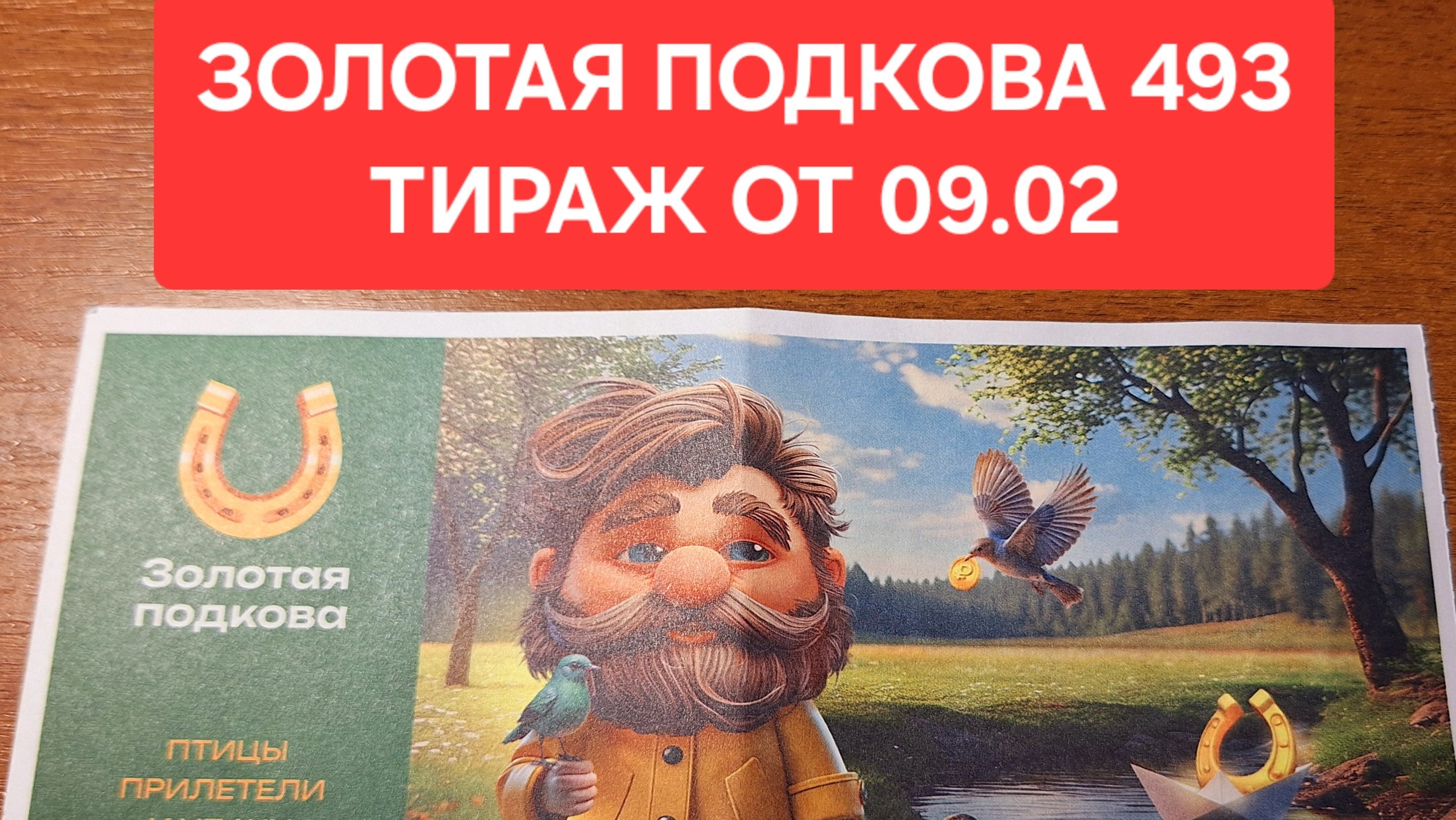 Проверить билет Золотой подковы 493 тираж от 09.02. Результаты Золотой подковы 493 тираж от 09.02
