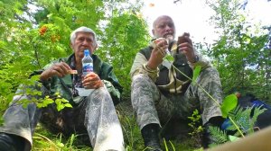 У медведя в гостях