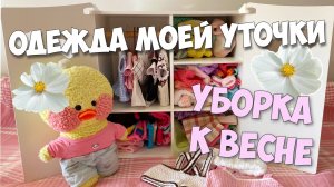 ВЕСЕННЯЯ УБОРКА В ШКАФУ! ОДЕЖДА УТОЧКИ МИЛКИ!