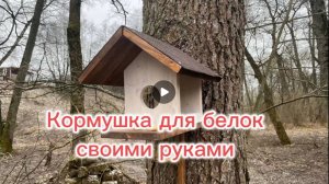 Кормушка для белки своими руками.