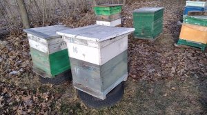 #3.09-02-2025 Не все так хорошо с зимовкой пчел, как многим кажется!!! Есть проблемы!!!