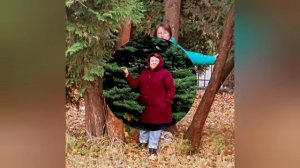 Осень в санатории Сосны. Подмосковье.