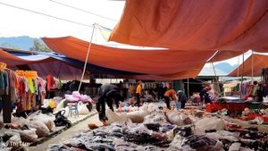 Harvest banana, green vegetables, ginger bringing to the Market for Sale | Ly Thi Tam