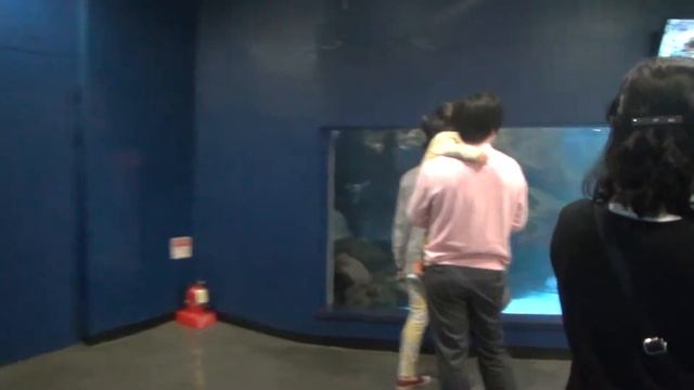 океанариум17 смотреть онлайн