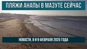 Пляжи Анапы в мазуте сейчас, 8 и 9 февраля 2025 года, новости, птицы