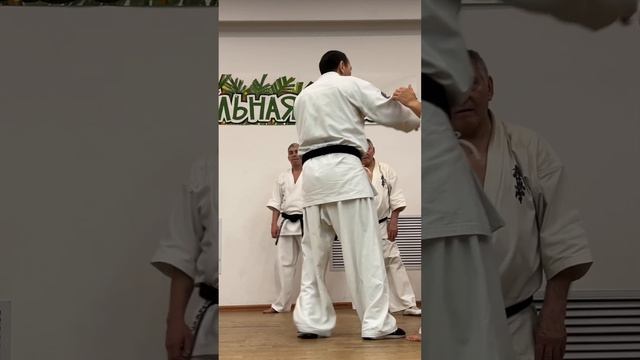 Кёкусин-Кик / Зимняя Школа ФКР-2025 / Оттяжка-5 / Сихан Станислав Винокуров (10)