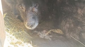 Херсонщина 9 февраля 2025 года