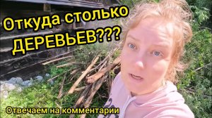 ОТВЕЧАЕМ НА НЕКОТОРЫЕ КОММЕНТАРИИ | Прочищаем въезд к нашему дому | Деревенская жизнь