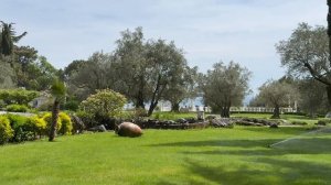 Санаторий Айвазовское. 15 апреля 2024 года. Партенит, Крым.