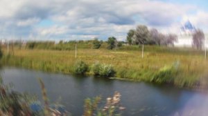 БЕРЕЗЫ . Артур Беркут