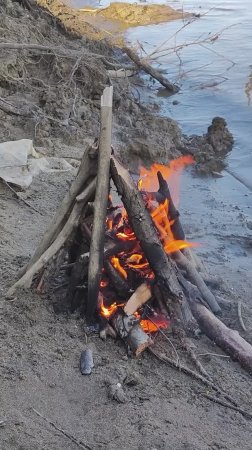 Клёв не идёт, но перекусить всегда можно! 😅🎣