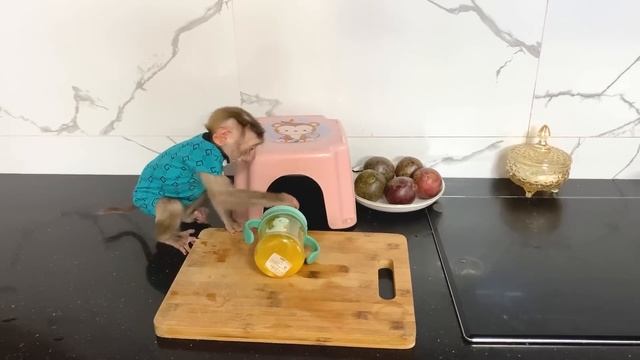 Monkey Puka is scared because he spilled the water bottle смотреть онлайн