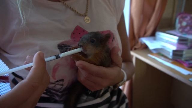 201707271840 смотреть онлайн