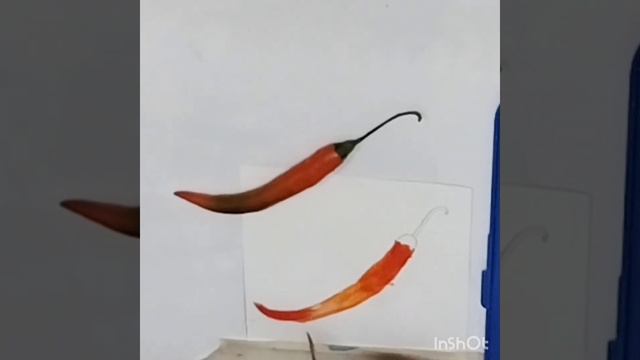 Learn, how to paint a red chilli #stilllifepainting #shorts #easytutorialsforbeginners