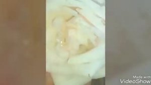 Магорамкенские гуси