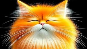 кулек из бумагии