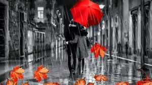 ЛИСТЬЯ ЖЕЛТЫЕ