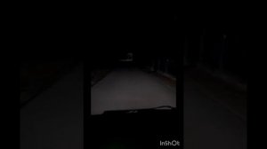 газель вGazelle NN