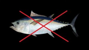 10 Out Of Tuna - Shite Trek