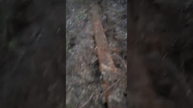 Хорошая находка