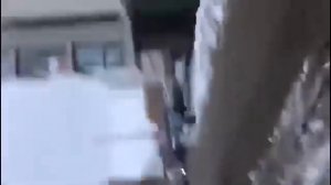 Птаха и оби ван