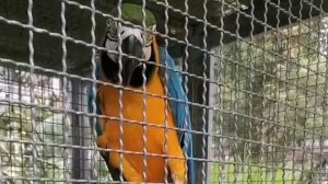 Тайланд . Pinnacle Grand Jomtien . 7-ELEVEN . Март 2024 . 7 день .