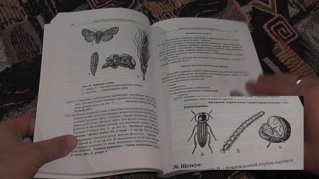 "Практикум по энтомологии" (2017)