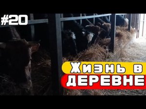 #20 Жизнь в Деревне  | Деревенский БЛОГ | День деревенского школьника.
