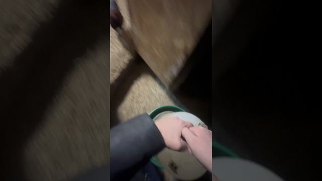 Горожанка в деревне